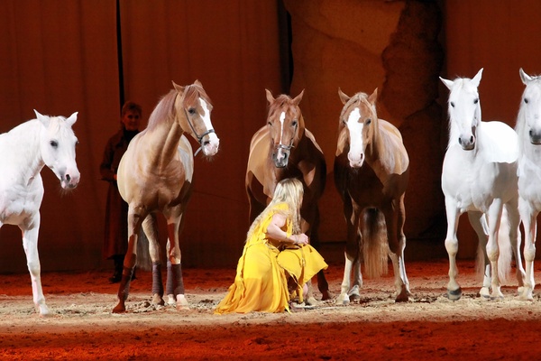 Apassionata  2010   085.jpg